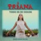 Tu frialdad (Banda Sonora Original) - Triana lyrics