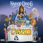 Feel About Snoop artwork