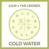 Cold Water (feat. The Crones) - Single album lyrics, reviews, download