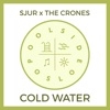 Cold Water (feat. The Crones) - Single