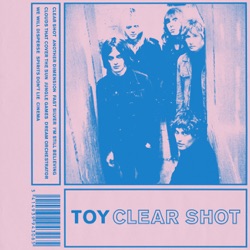 TOY - Fast Silver