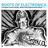 Roots of Electronica Vol. 5, European Avant-Garde, Noise and Experimental Music