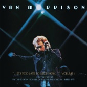 Van Morrison - Ain't Nothin' You Can Do (Live)