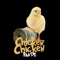 Chicken Chicken - Bandz lyrics