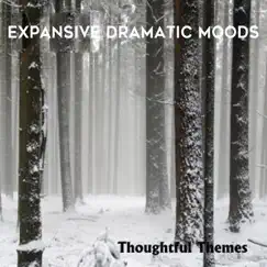 Thoughtful Themes: Expansive Dramatic Moods by Paul Cuddeford & Cameron McBride album reviews, ratings, credits