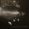 Laurent Parisi - Stopped Motion