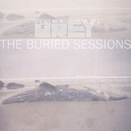 The Buried Sessions Of Skylar Grey Zip Up