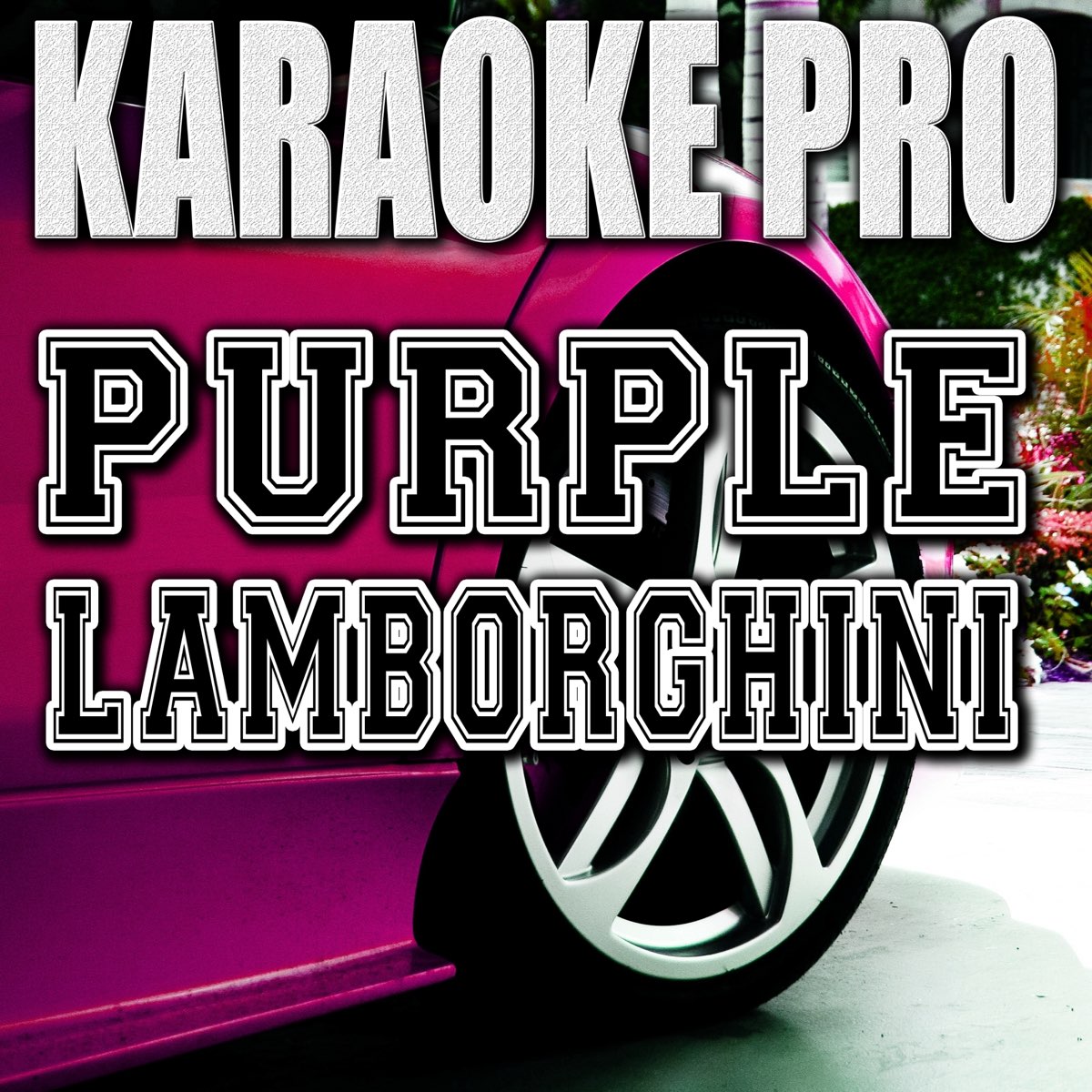 Purple Lamborghini (Originally Performed by Rick Ross & Skrillex)  [Instrumental Version] - Single de Karaoke Pro en Apple Music