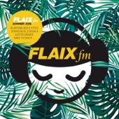 Flaix FM Summer 2016 artwork