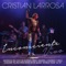 Disfrazada en el Viento - Cristian Larrosa lyrics