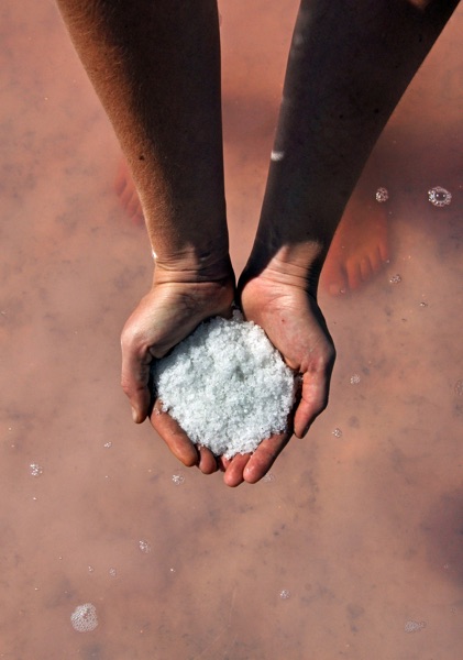 Great Salt Lake Podcast cover