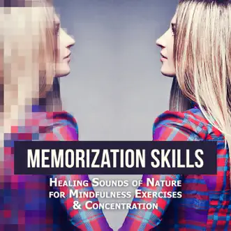 Memory (Exam Study) by Brain Stimulation Music Collective song reviws