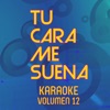 Tu Cara Me Suena Karaoke, Vol. 12