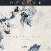 Wide Open Space (Live) [Deluxe] artwork