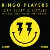 Stream & download Cry (Just a Little) [A-Trak and Phantoms Remix] - Single