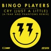 Cry (Just a Little) [A-Trak and Phantoms Remix] - Single