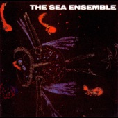 The Sea Ensemble - Needle of Sea Bottom