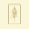 Coby - Heavy Petting lyrics