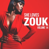 She Loves Zouk, Vol. 14 artwork