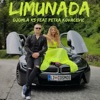 Limunada (feat. Petra Kovacevic) - Single