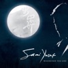 Sami Yusuf - Fragile World