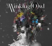 The Winking Owl - Broken