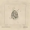 Open Arms - Single album lyrics, reviews, download