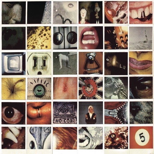 Art for Hail, Hail by Pearl Jam