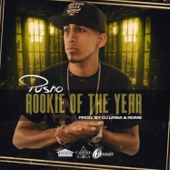 The Rookie Of The Year artwork