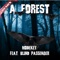 A Forest (feat. Blind Passenger) [Dancemix] - Modekay lyrics