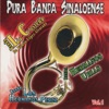 Puro Banda Sinaloense, Vol. 1