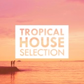 TROPICAL HOUSE SELECTION artwork