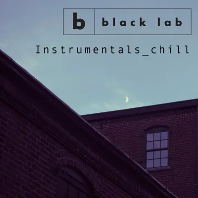 Instrumentals_Chill - Black Lab