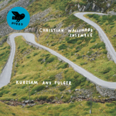 Kurzsam and Fulger - Christian Wallumrød Ensemble