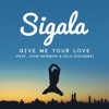 Sigala Feat. John Newman, Nile Rodgers - Give Me Your Love (Extended Mix)