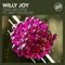 Take Me Over (feat. Amy Douglas) - Willy Joy lyrics