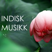 Indisk Musikk - Orientalsk Chakra Meditasjon, Buddhistisk Søvnproblemer Behandling artwork