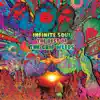 Infinite Soul: The Best of the Grip Weeds album lyrics, reviews, download