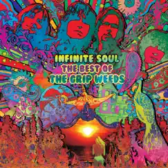 Infinite Soul: The Best of the Grip Weeds by The Grip Weeds album reviews, ratings, credits