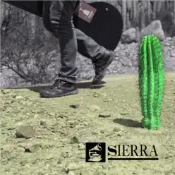 Yo No Sé Lo Que Tengo - Single - Mike Sierra