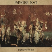 Symphony for the Lost (Live) artwork