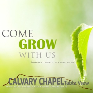 Colossians 1:19-23 Ruined and Reconciled