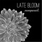 Late Bloom (feat. Jeff Myers & Brian Wilson) - Nonpareil lyrics