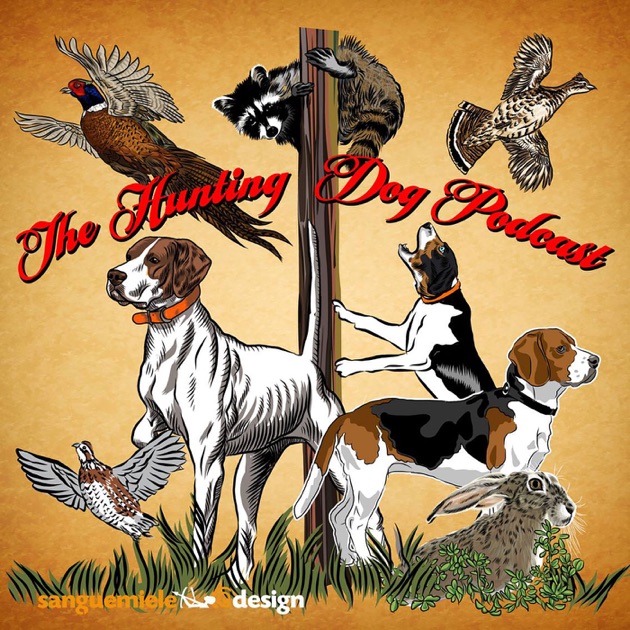The Hunting Dog Podcast by Ron Boehme on Apple Podcasts