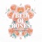 Bed of Roses (feat. Stanaj) - Afrojack lyrics