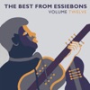 The Best From Essiebons, Vol. 12, 2015
