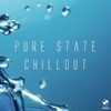Pure State Chillout