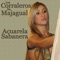 Mi Amigo El Camino (with Armando Hernandez) - Los Corraleros de Majagual lyrics