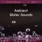 Dance Under Umbrella - Calming Water Consort lyrics
