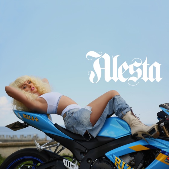 Cover artwork for Step It Up